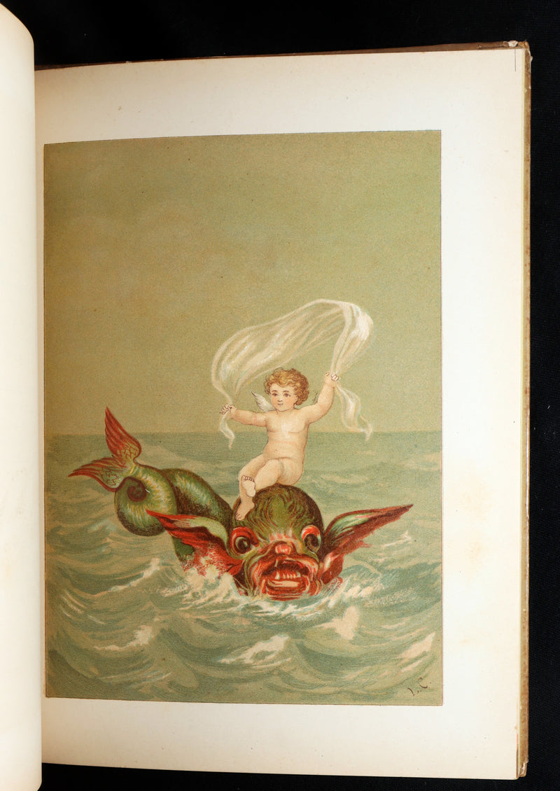 1882 Rare First Edition - Fly-Away Fairies and Baby-Blossoms by L. Clarkson