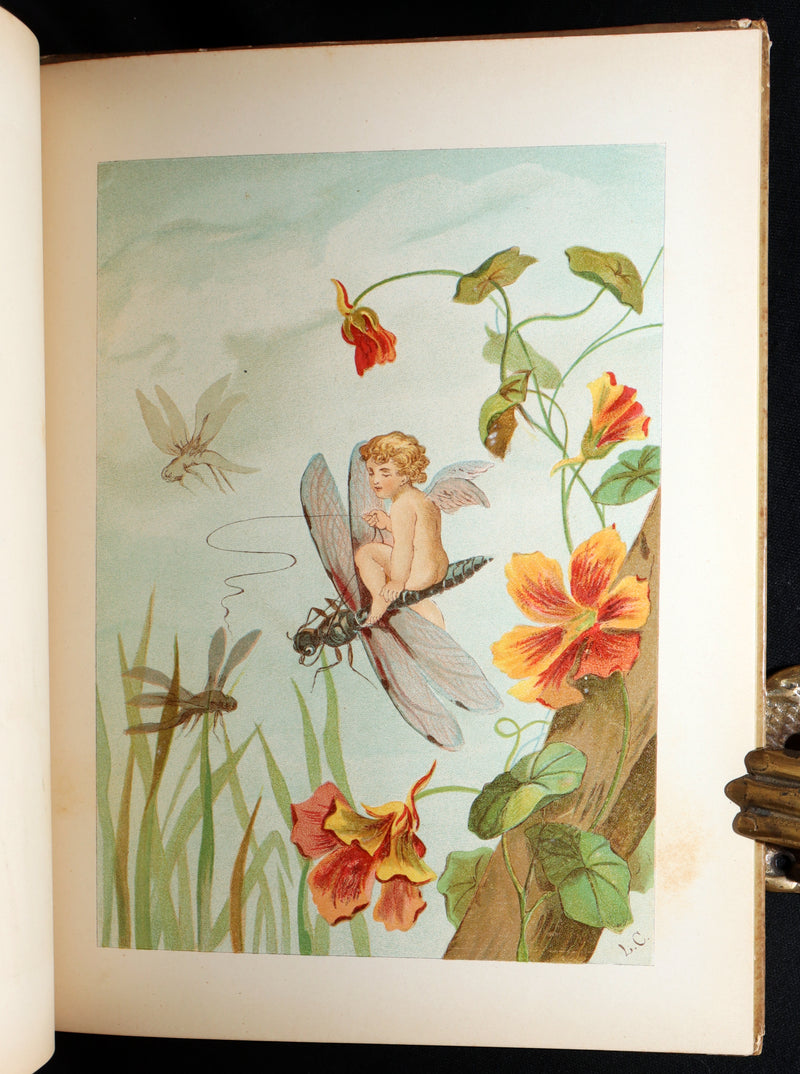 1882 Rare First Edition - Fly-Away Fairies and Baby-Blossoms by L. Clarkson