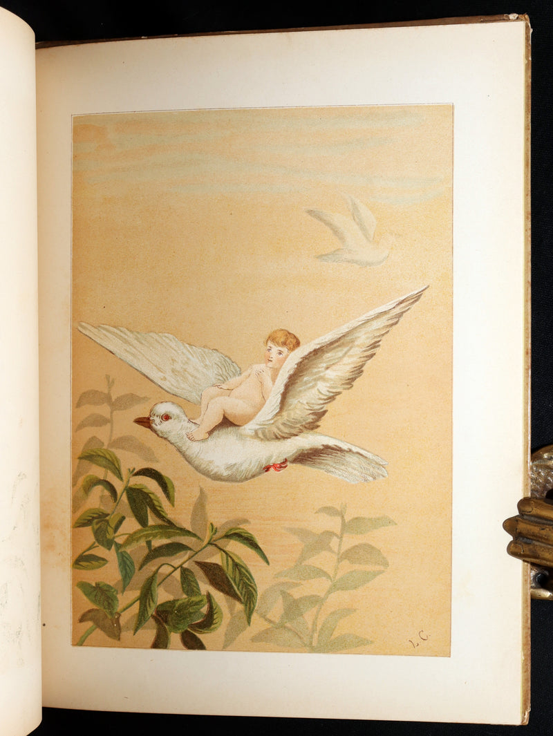 1882 Rare First Edition - Fly-Away Fairies and Baby-Blossoms by L. Clarkson