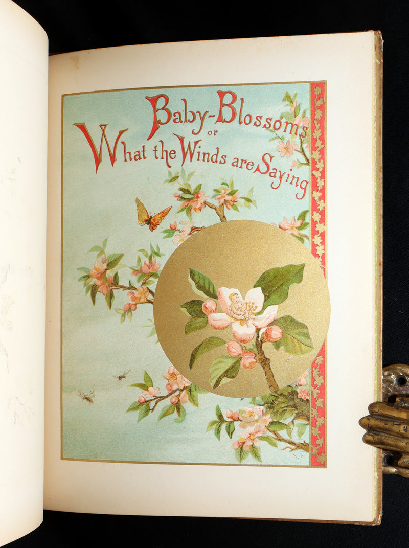 1882 Rare First Edition - Fly-Away Fairies and Baby-Blossoms by L. Clarkson
