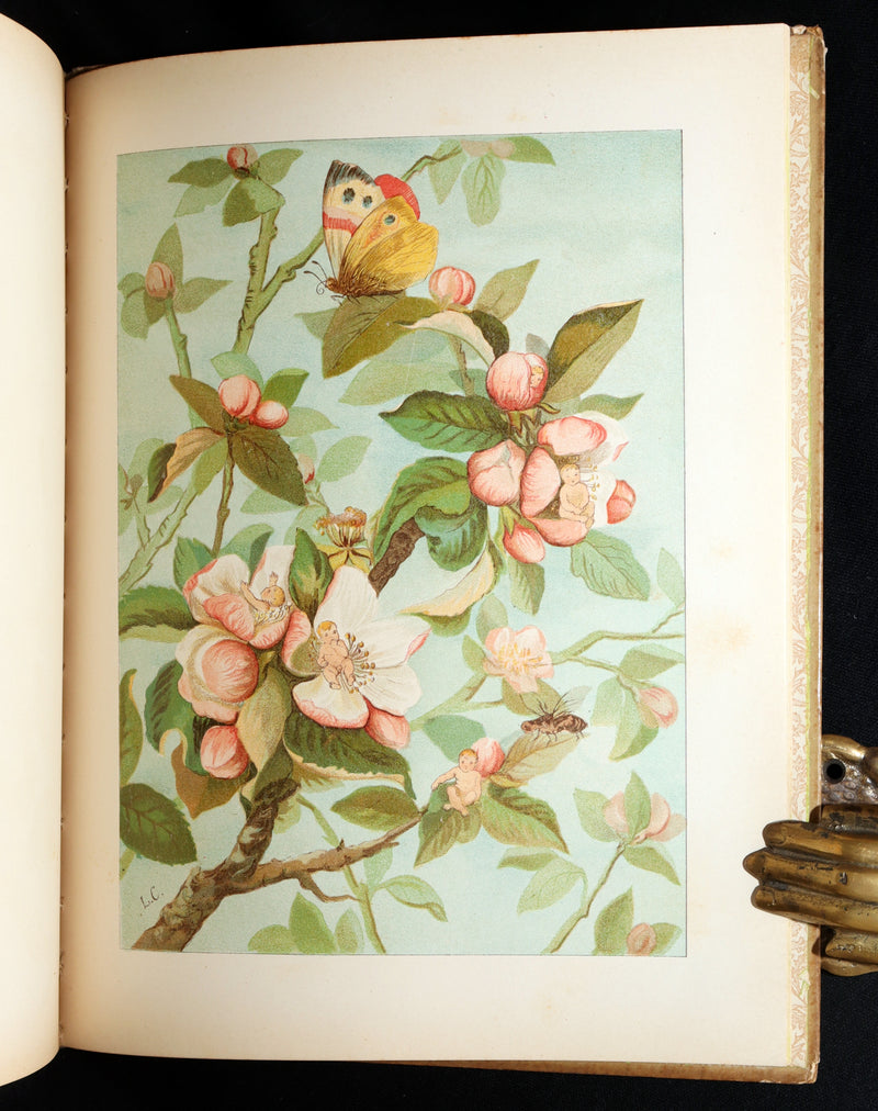 1882 Rare First Edition - Fly-Away Fairies and Baby-Blossoms by L. Clarkson