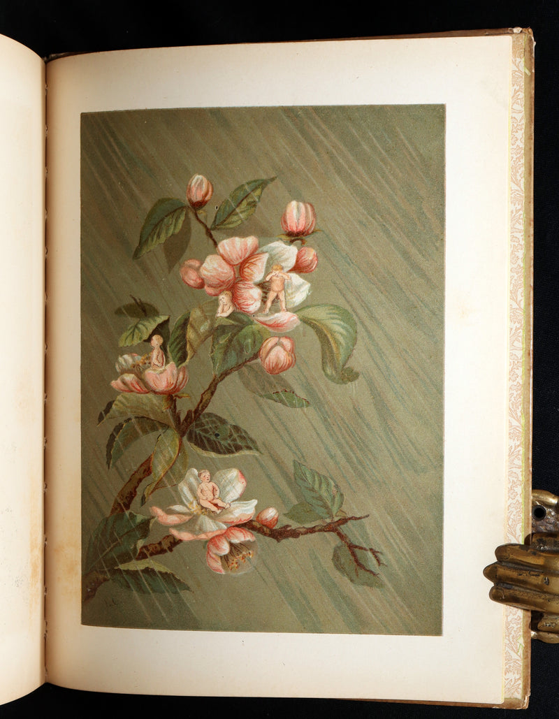 1882 Rare First Edition - Fly-Away Fairies and Baby-Blossoms by L. Clarkson