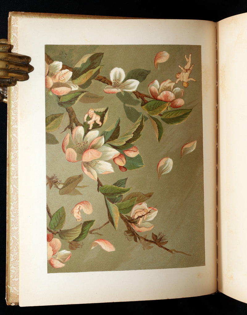 1882 Rare First Edition - Fly-Away Fairies and Baby-Blossoms by L. Clarkson