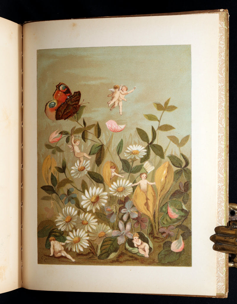 1882 Rare First Edition - Fly-Away Fairies and Baby-Blossoms by L. Clarkson