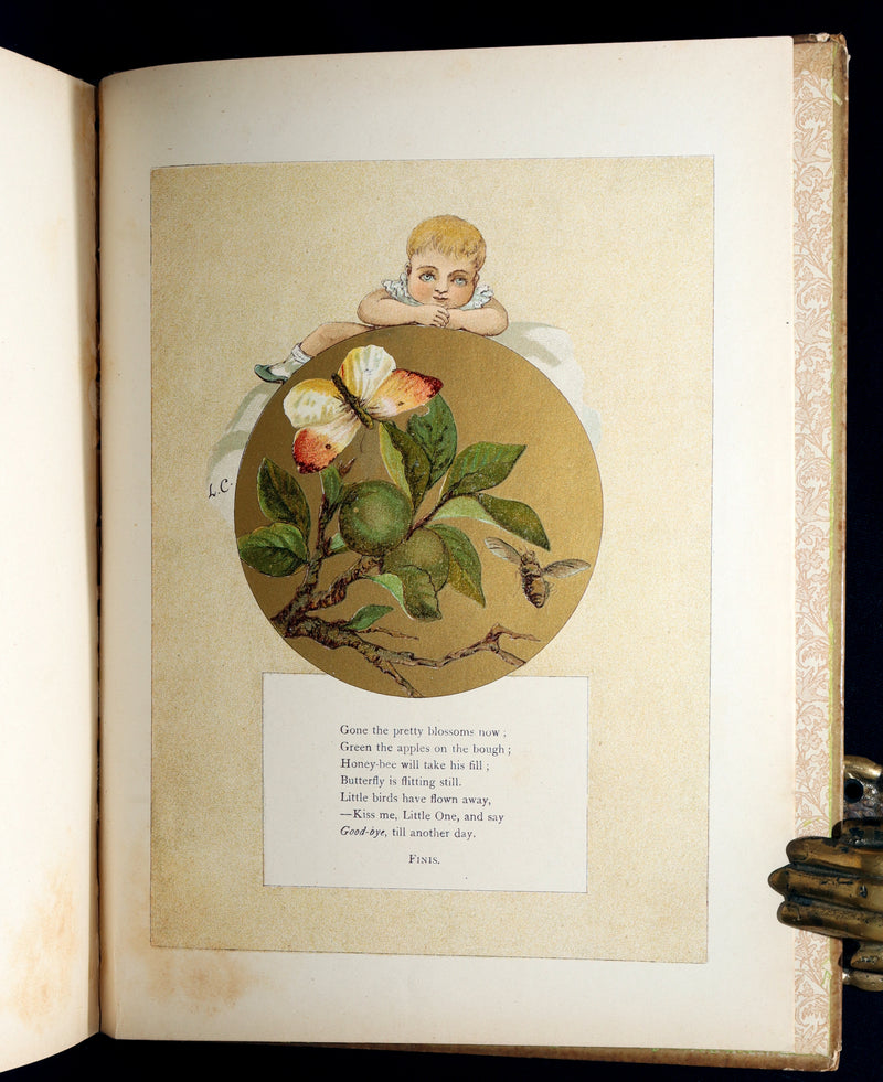 1882 Rare First Edition - Fly-Away Fairies and Baby-Blossoms by L. Clarkson
