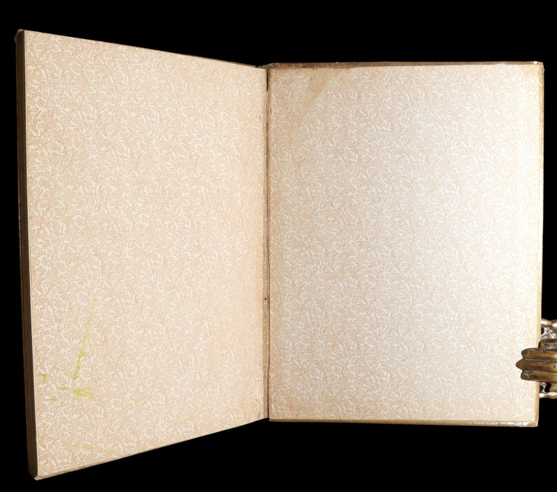 1882 Rare First Edition - Fly-Away Fairies and Baby-Blossoms by L. Clarkson