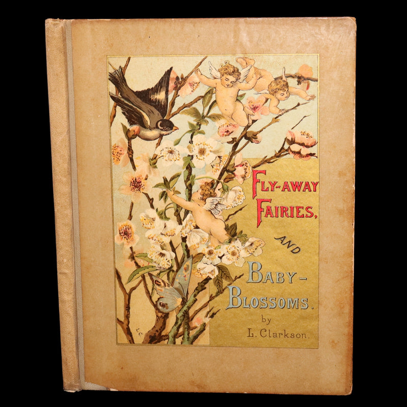 1882 Rare First Edition - Fly-Away Fairies and Baby-Blossoms by L. Clarkson