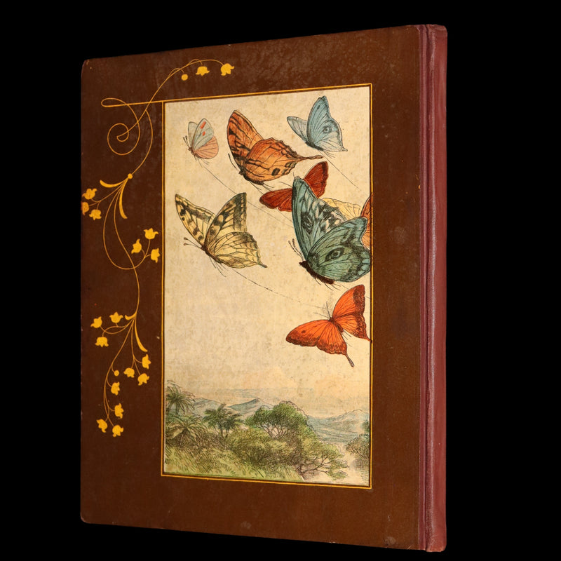 1884 First Edition - The Princess Nobody by A. Lang Illustrated by Richard Doyle