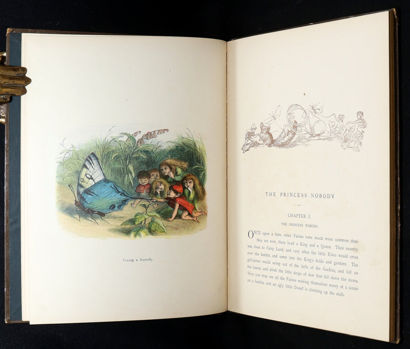 1884 First Edition - The Princess Nobody by A. Lang Illustrated by Richard Doyle
