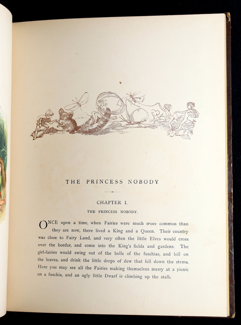 1884 First Edition - The Princess Nobody by A. Lang Illustrated by Richard Doyle