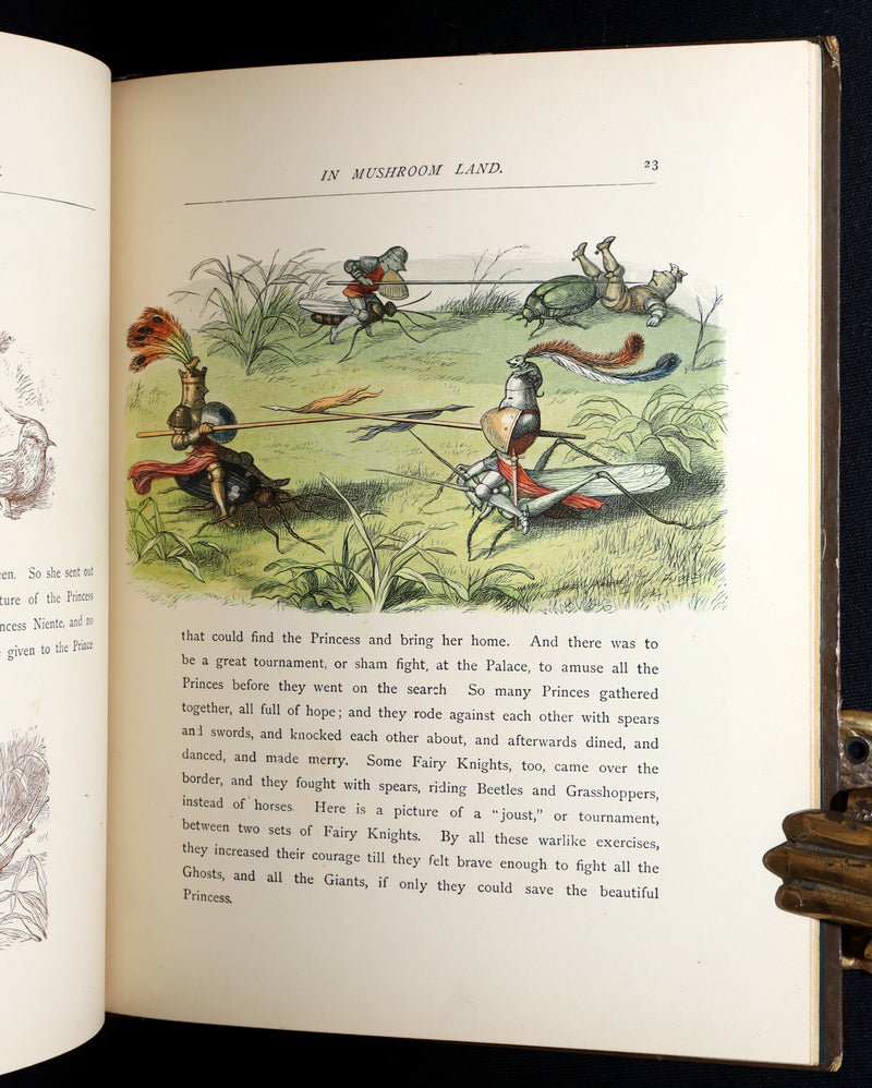 1884 First Edition - The Princess Nobody by A. Lang Illustrated by Richard Doyle