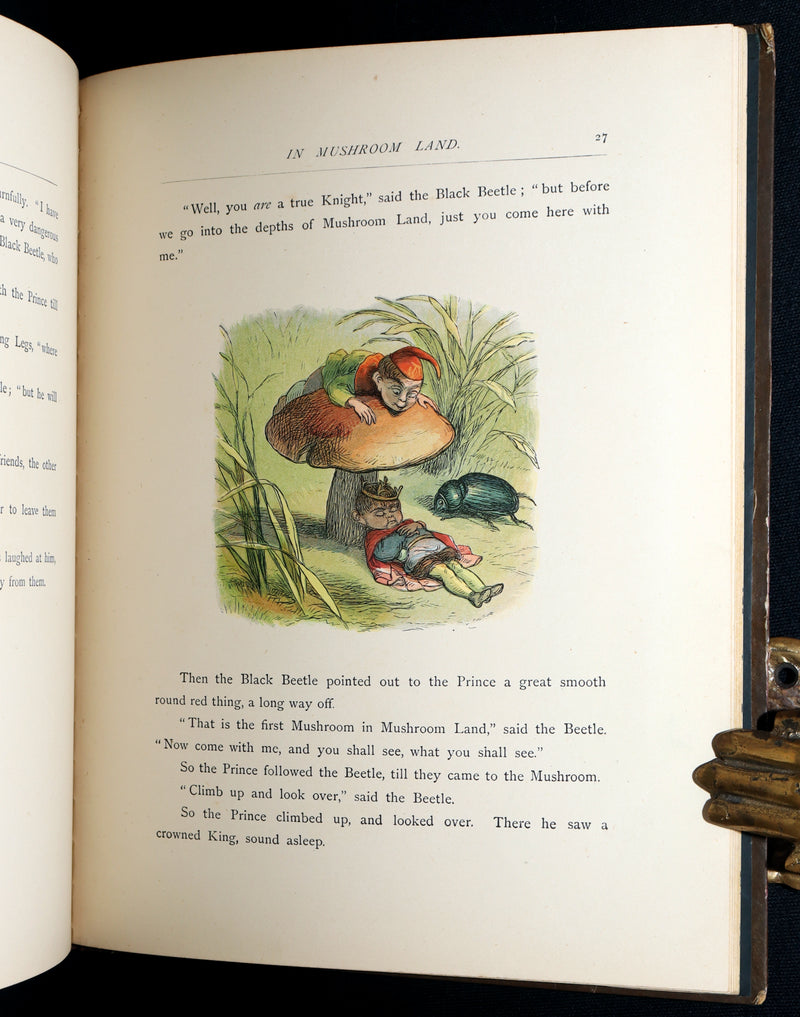 1884 First Edition - The Princess Nobody by A. Lang Illustrated by Richard Doyle