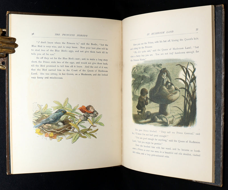 1884 First Edition - The Princess Nobody by A. Lang Illustrated by Richard Doyle