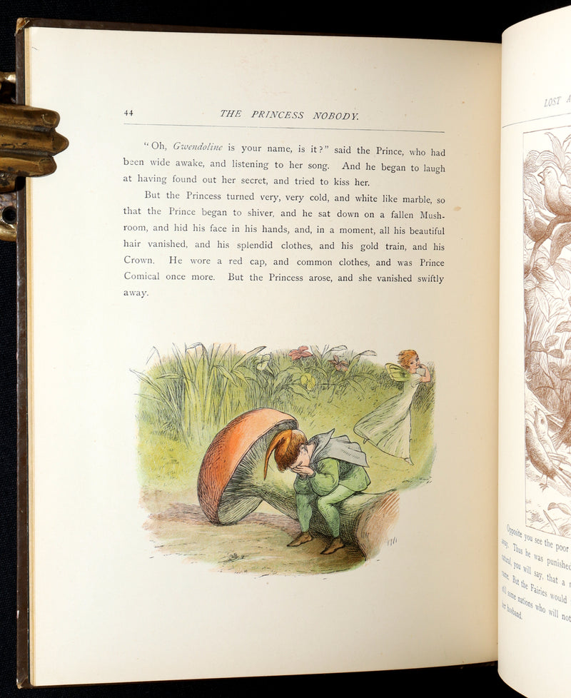 1884 First Edition - The Princess Nobody by A. Lang Illustrated by Richard Doyle