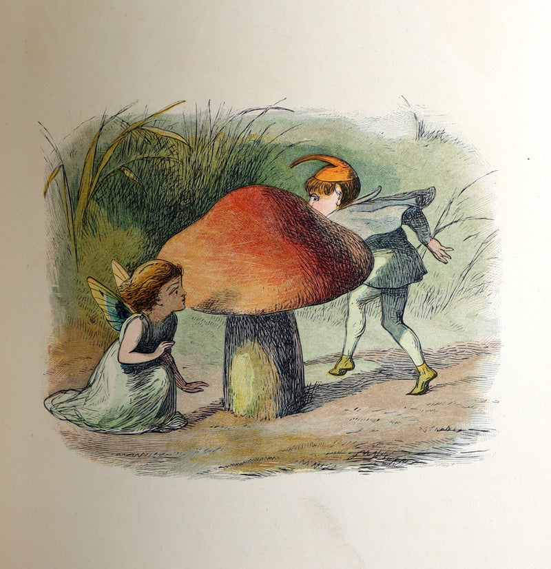 1884 First Edition - The Princess Nobody by A. Lang Illustrated by Richard Doyle
