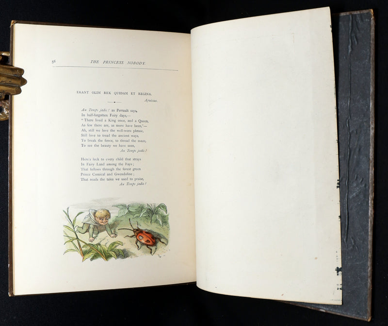 1884 First Edition - The Princess Nobody by A. Lang Illustrated by Richard Doyle