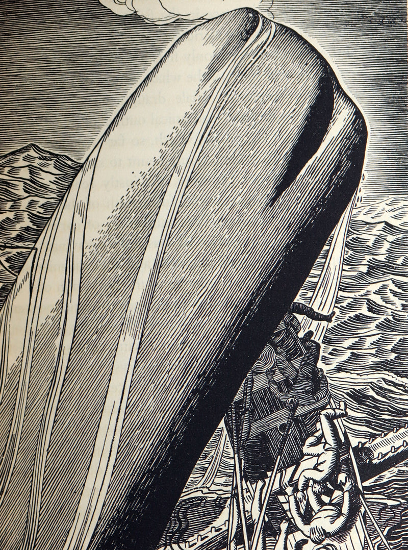 1930 Rare First Edition - Moby Dick by Melville illustrated by Rockwell Kent