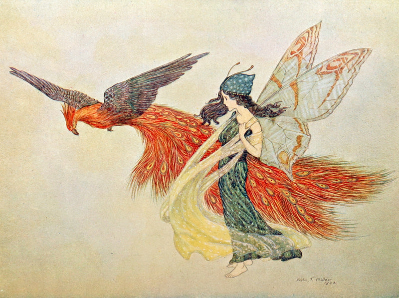 1923 First Edition - The Rose Fyleman Fairy Book  by Hilda T. Miller