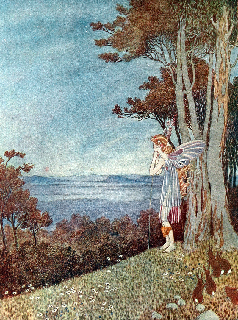 1936 Rare Book - The Enchanted Forest by Ida Rentoul Outhwaite