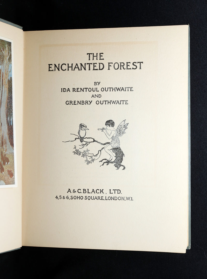 1936 Rare Book - The Enchanted Forest by Ida Rentoul Outhwaite