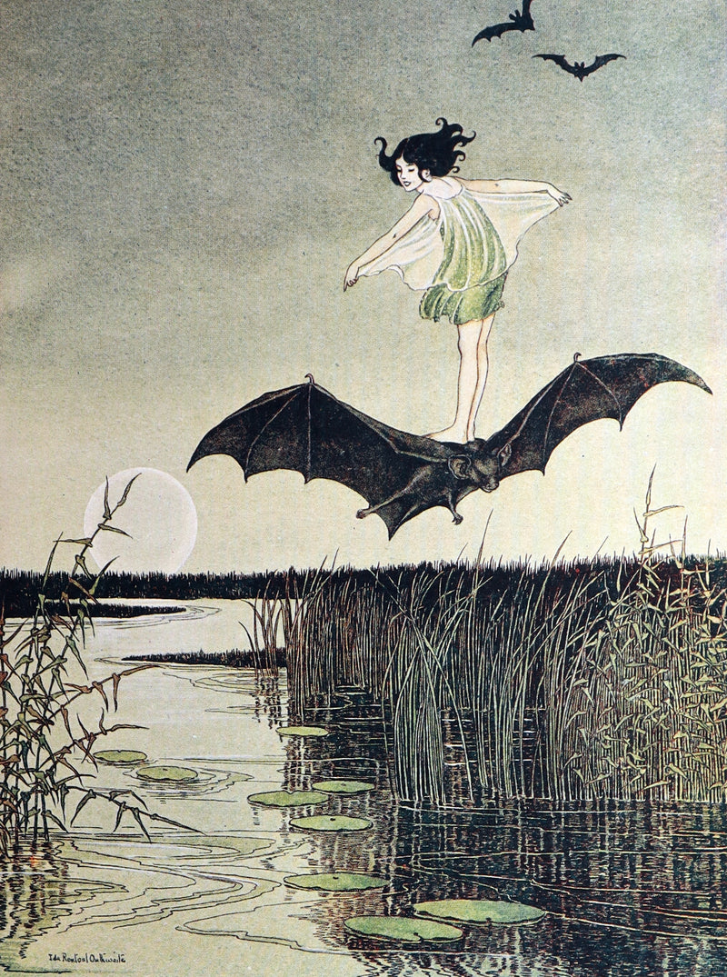 1936 Rare Book - The Enchanted Forest by Ida Rentoul Outhwaite