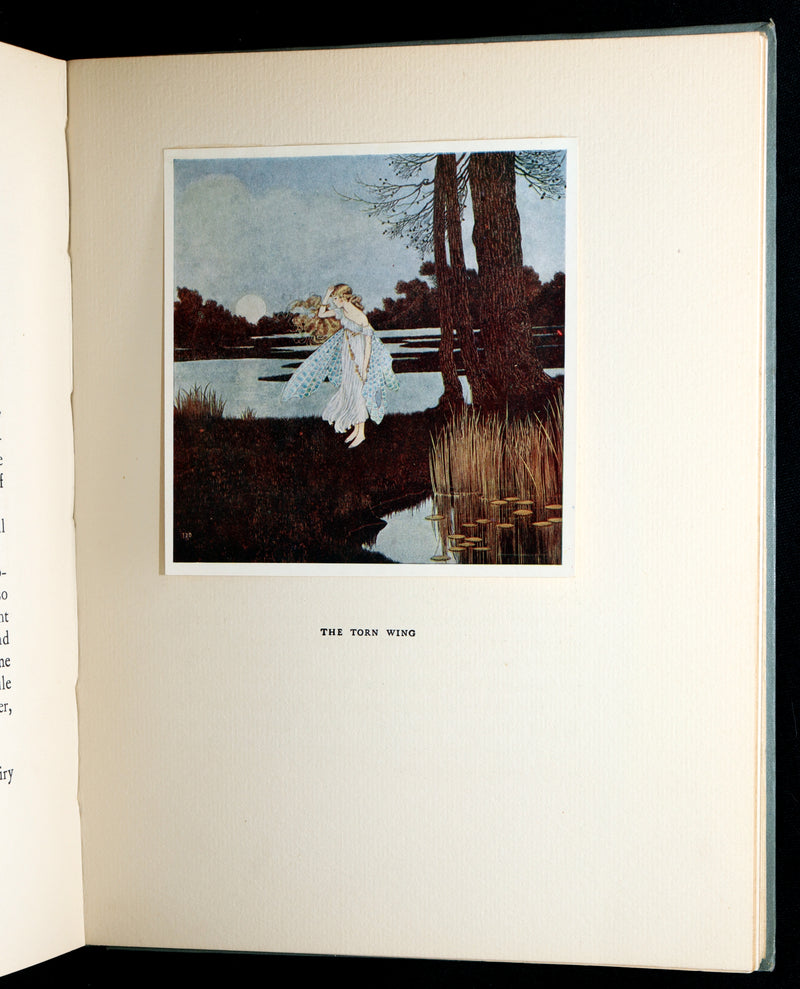 1936 Rare Book - The Enchanted Forest by Ida Rentoul Outhwaite