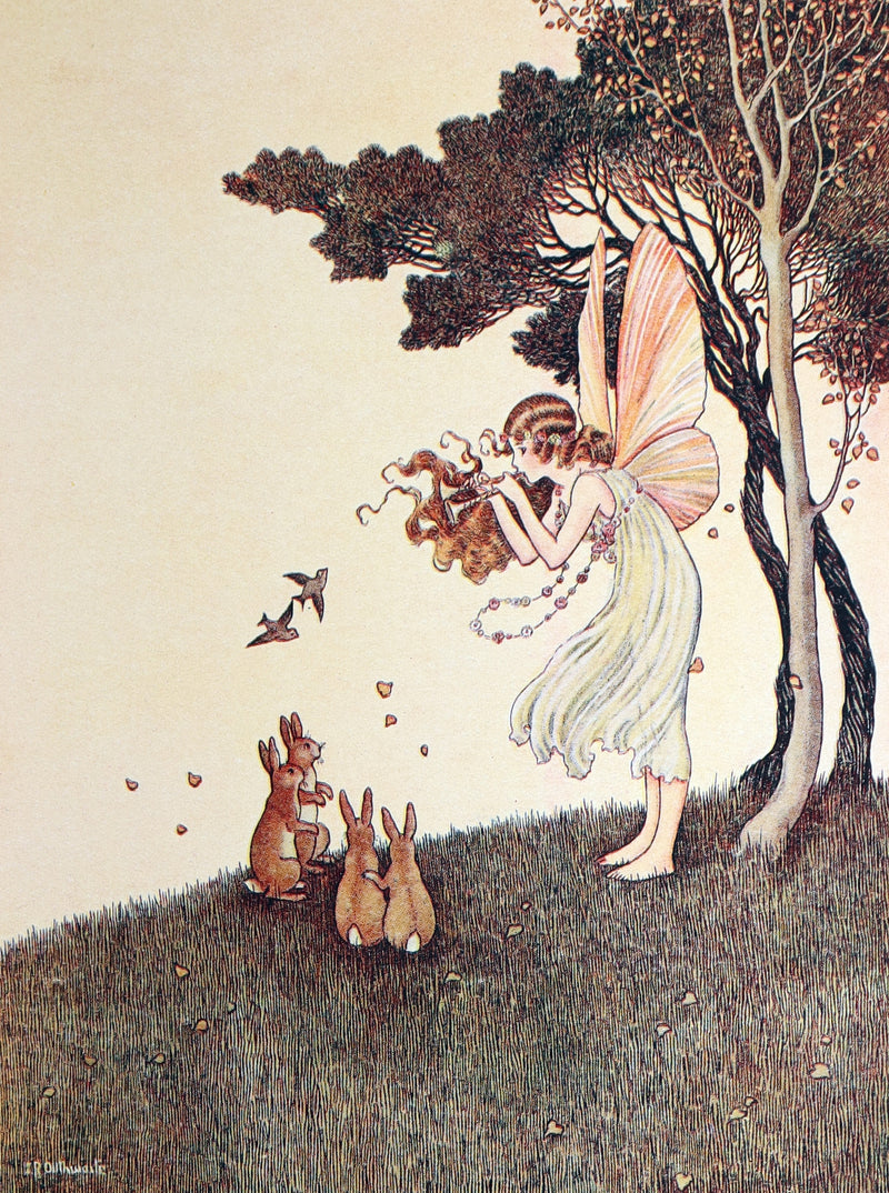 1936 Rare Book - The Enchanted Forest by Ida Rentoul Outhwaite