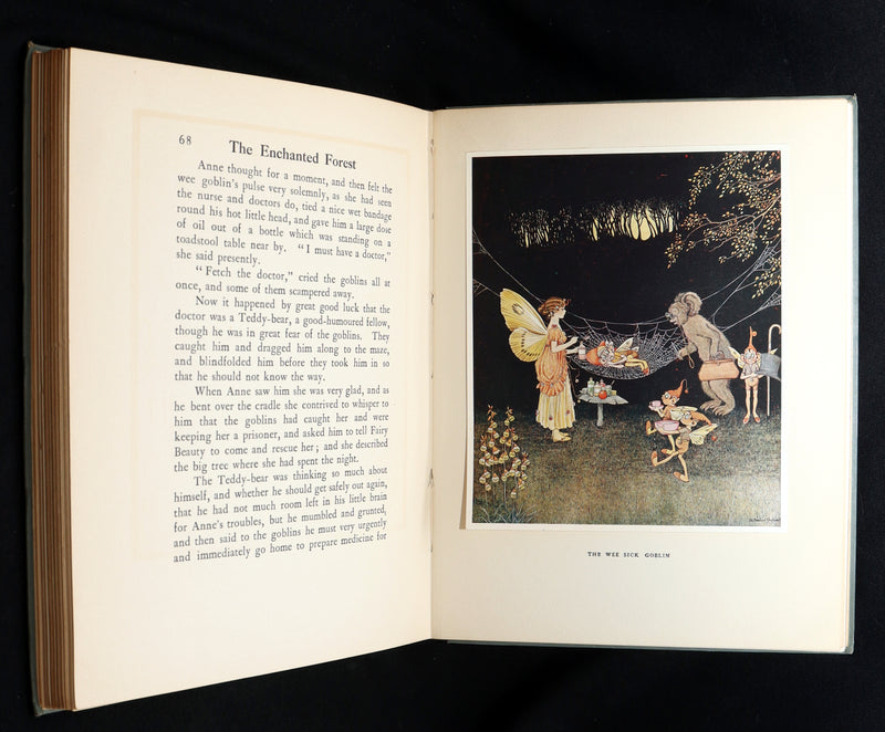 1936 Rare Book - The Enchanted Forest by Ida Rentoul Outhwaite