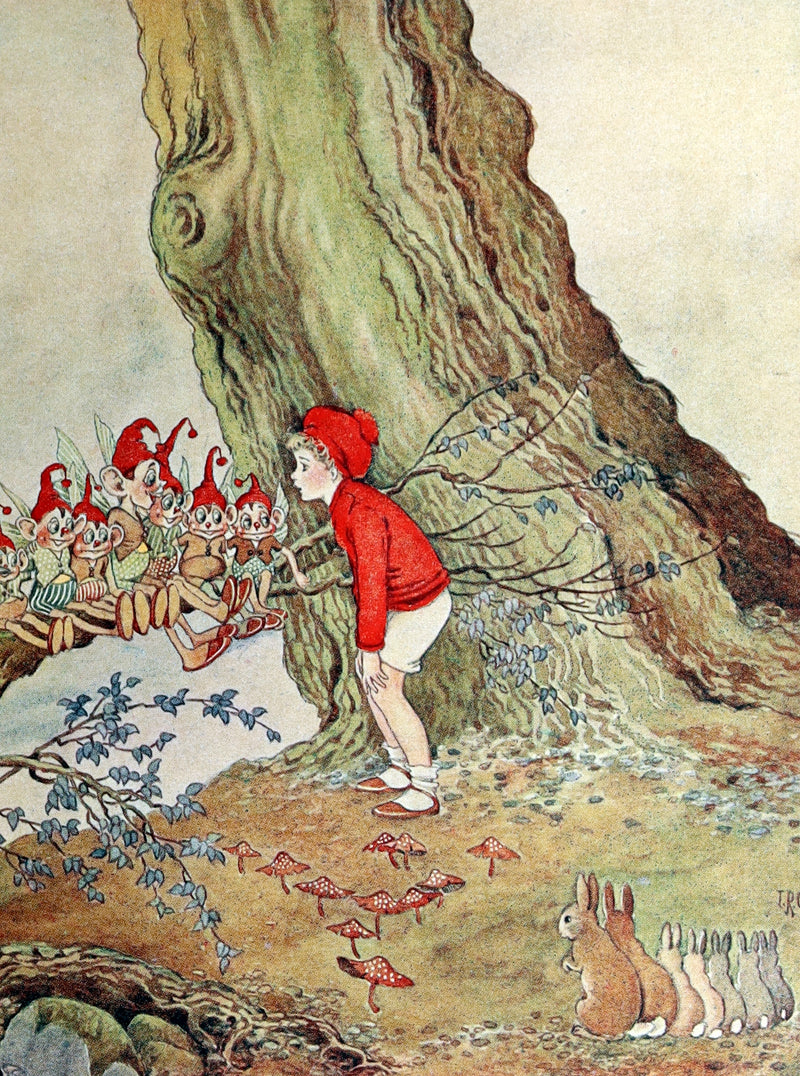 1936 Rare Book - The Enchanted Forest by Ida Rentoul Outhwaite