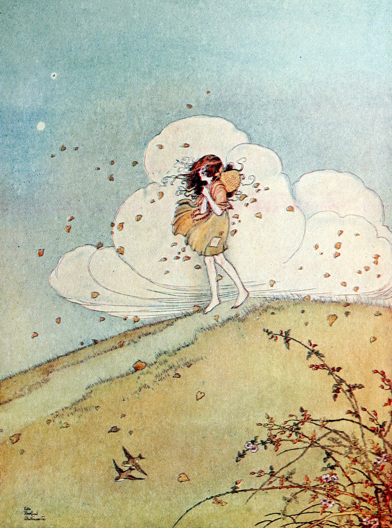 1936 Rare Book - The Enchanted Forest by Ida Rentoul Outhwaite