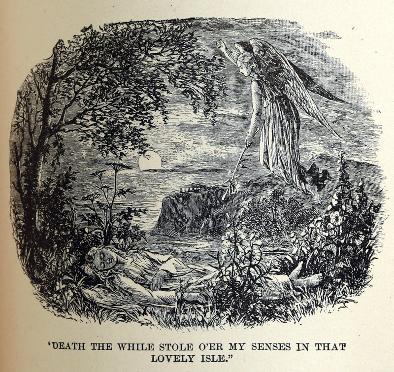 1882 Rare Book - Poems of Edgar Allan Poe with a Full Memoir of the Poet