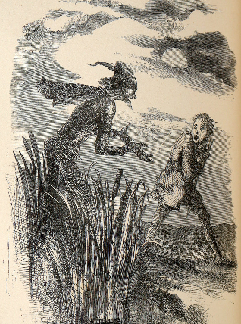 1865 Rare Book - Robert Burns’s Poetical Works, Illustrated by John Gilbert