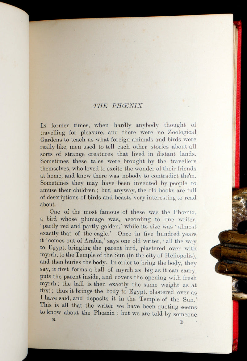 1899 Rare First Edition - The Red Book of Animal Stories by Andrew Lang