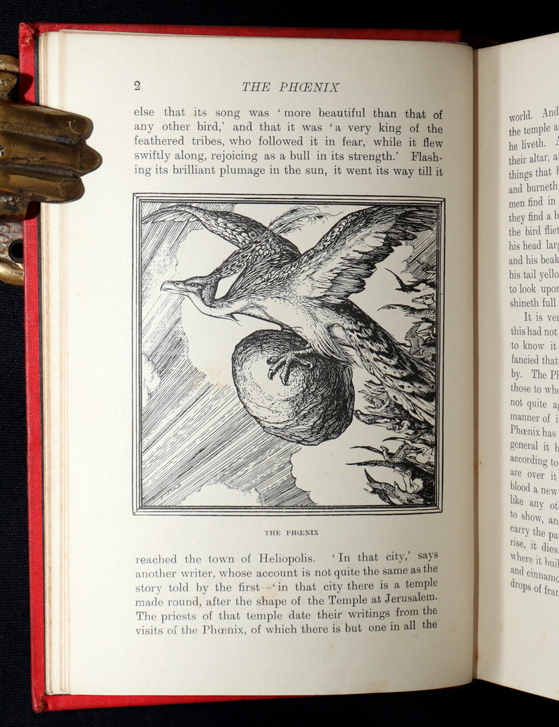 1899 Rare First Edition - The Red Book of Animal Stories by Andrew Lang
