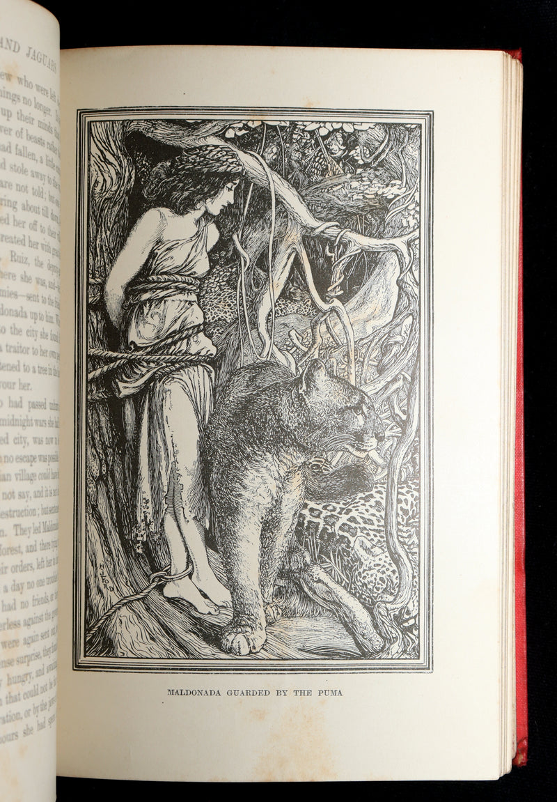 1899 Rare First Edition - The Red Book of Animal Stories by Andrew Lang