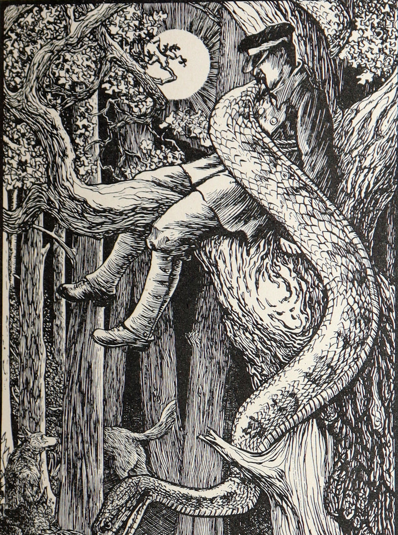 1899 Rare First Edition - The Red Book of Animal Stories by Andrew Lang