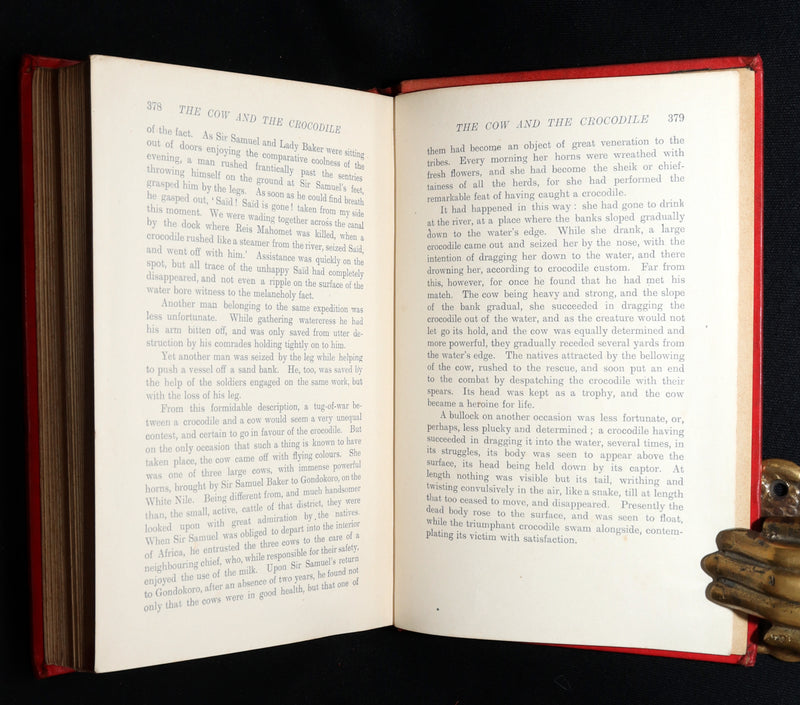 1899 Rare First Edition - The Red Book of Animal Stories by Andrew Lang