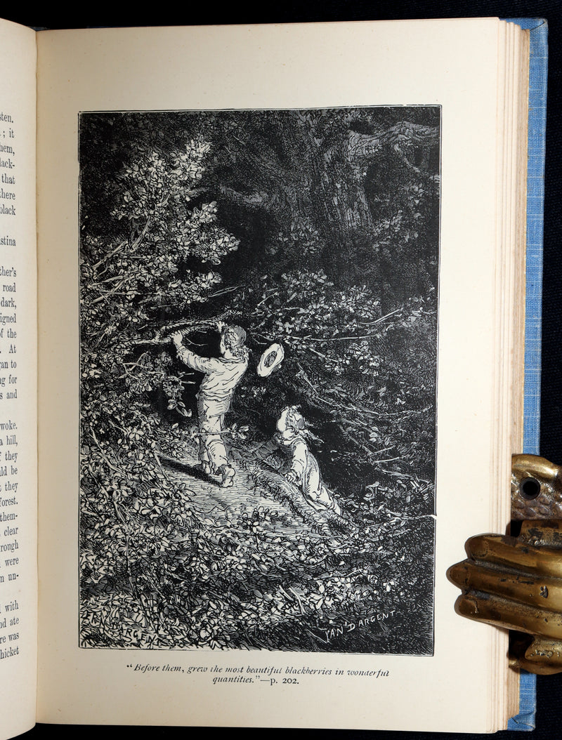 1900 Rare Book - Hans Christian Andersen's Fairy Tales, Illustrated