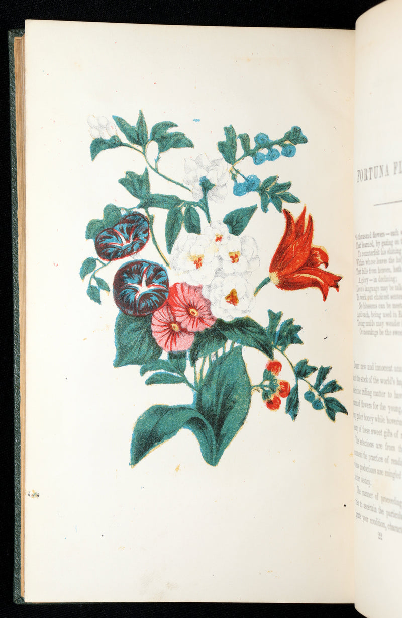 1852 Rare Book- Flora’s Interpreter and Fortuna Flora by Sarah J. Hale, 4 Plates