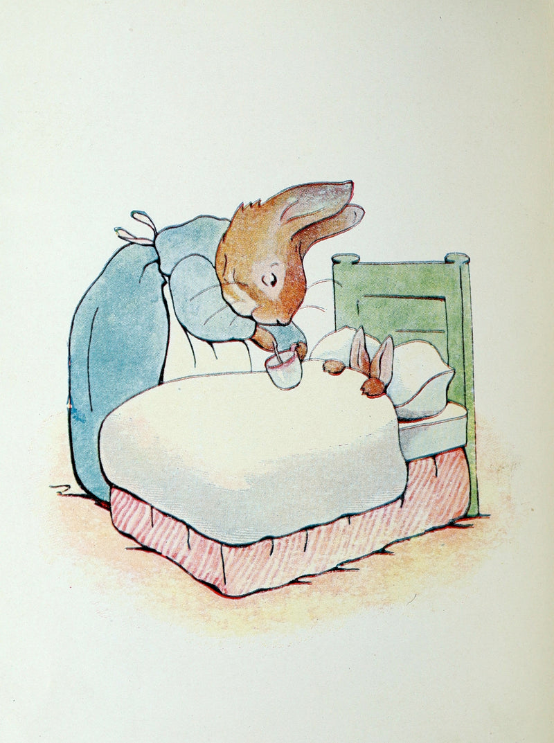 1910 Rare Edition - The Tale of Peter Rabbit illustrated by Beatrix Potter