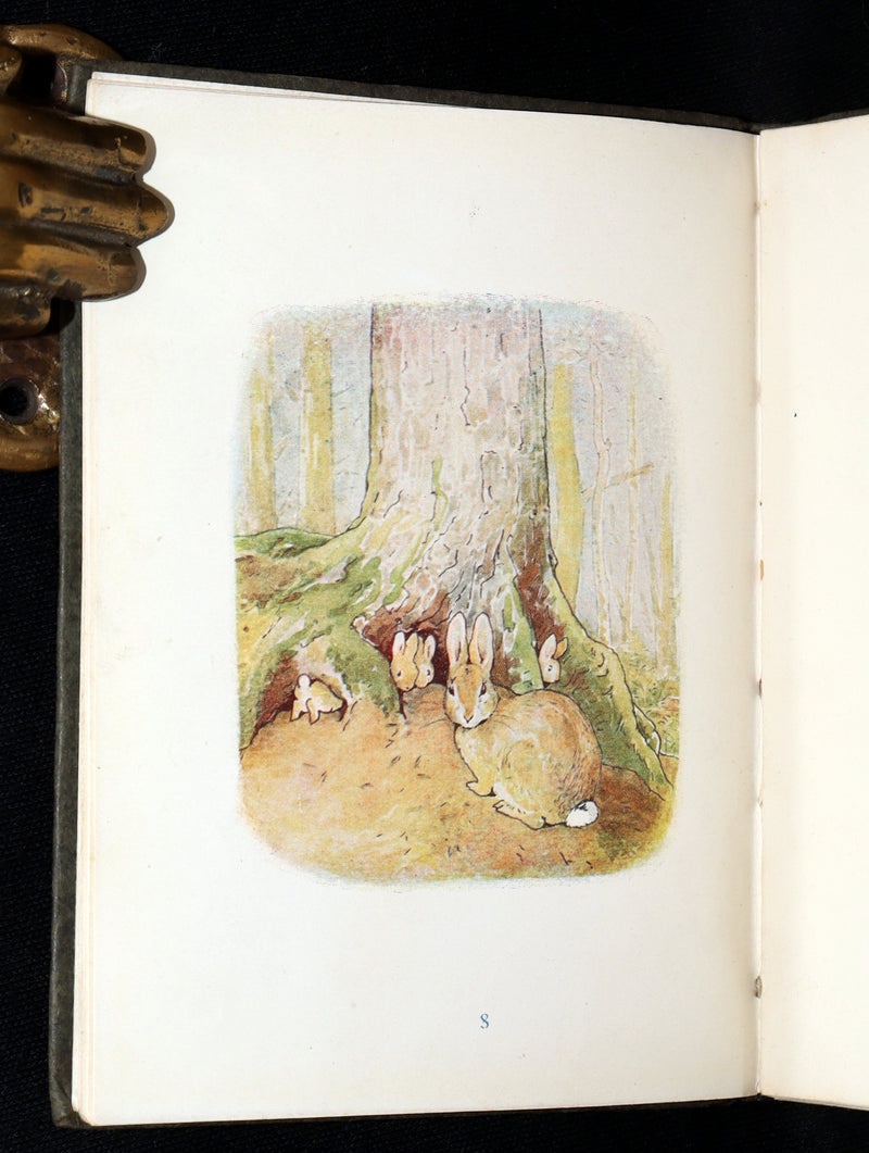 1910 Rare Edition - The Tale of Peter Rabbit illustrated by Beatrix Potter