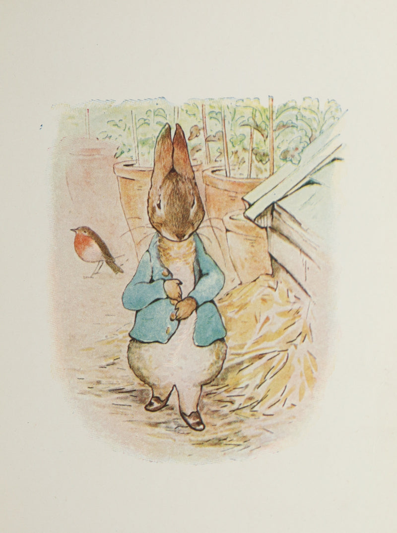 1910 Rare Edition - The Tale of Peter Rabbit illustrated by Beatrix Potter