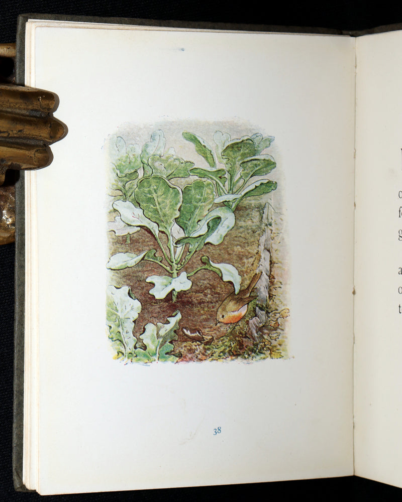 1910 Rare Edition - The Tale of Peter Rabbit illustrated by Beatrix Potter