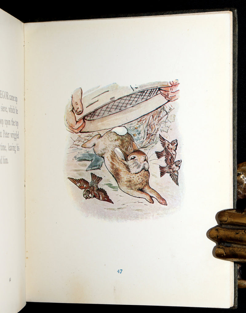 1910 Rare Edition - The Tale of Peter Rabbit illustrated by Beatrix Potter