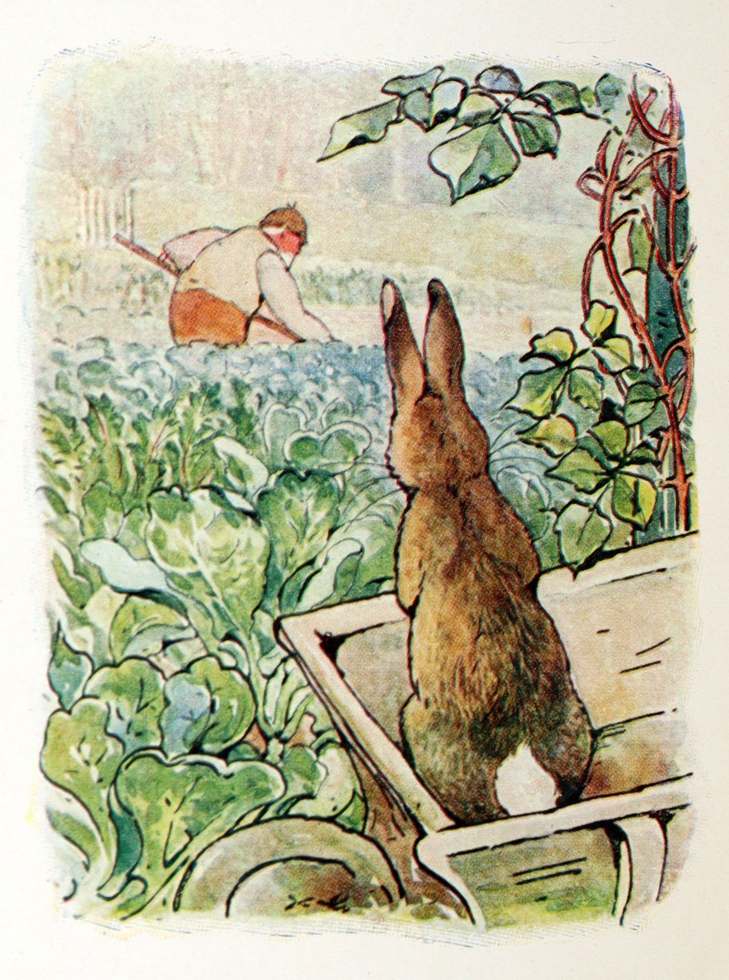 1910 Rare Edition - The Tale of Peter Rabbit illustrated by
