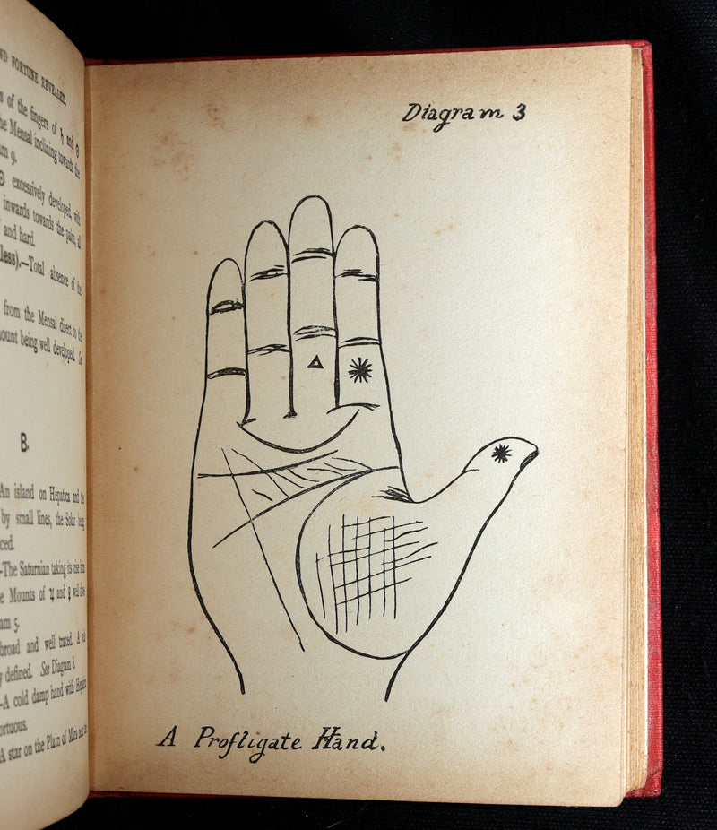 1890 Scarce Book - Character and Fortune. ABC Guide to Palmistry by Paul Bello