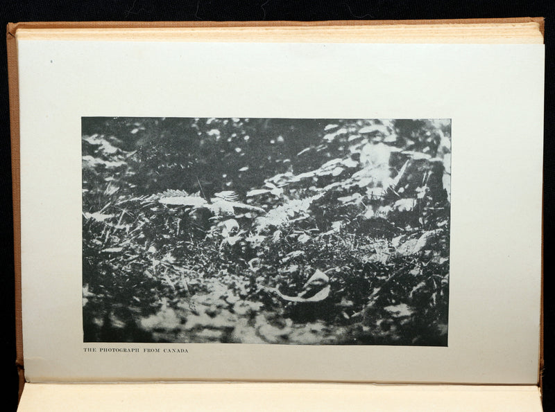 1922 First Edition -The Coming of the (Cottingley) Fairies by Arthur Conan Doyle