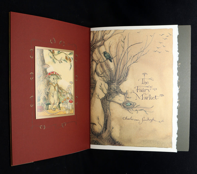 2009 Scarce Signed First Edition - The Fairy Market by Charles van Sandwyk