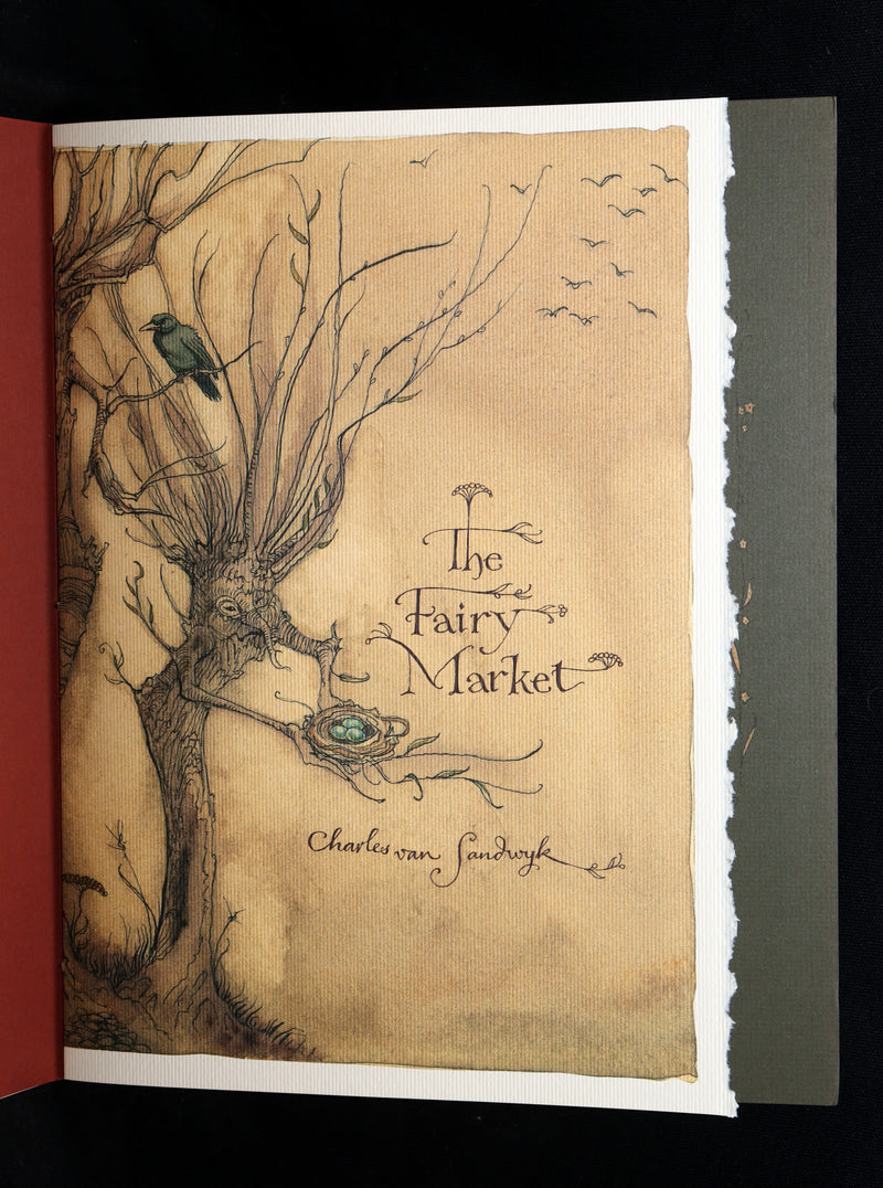 2009 Scarce Signed First Edition - The Fairy Market by Charles van Sandwyk