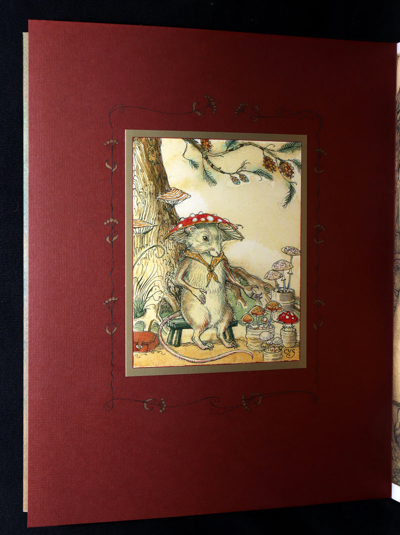 2009 Scarce Signed First Edition - The Fairy Market by Charles van Sandwyk